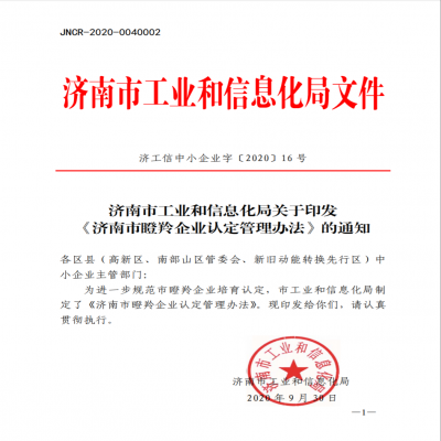 《濟南市瞪羚企業(yè)認定管理辦法》